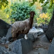 Hunza Valley Pakistan, Gilgit Baltistan travel, best time to visit Hunza, Attabad Lake, Baltit Fort, Passu Cones, things to do in Hunza Valley, travel guide to Hunza, northern Pakistan tourism.