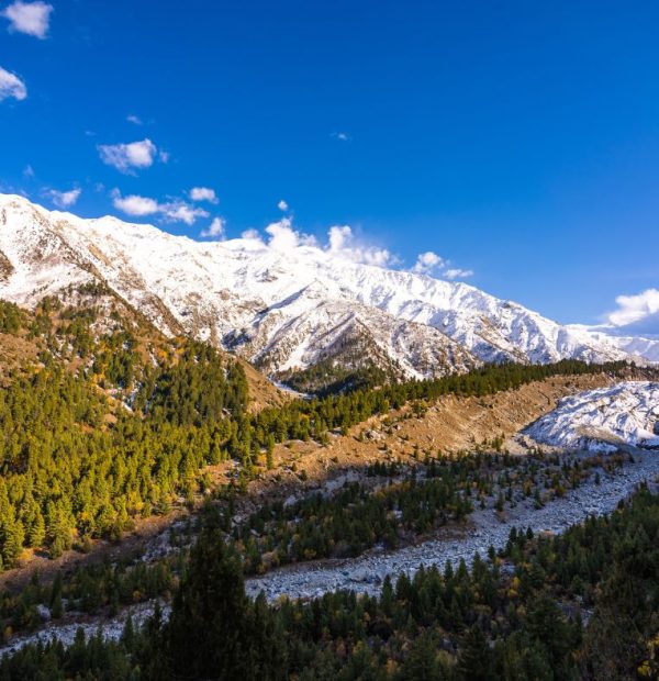 fairy meadows pakistan