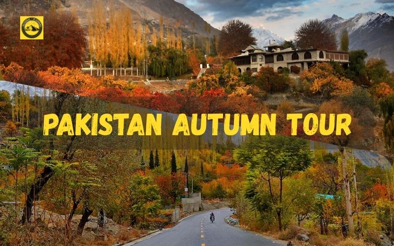 Pakistan Autumn Tour