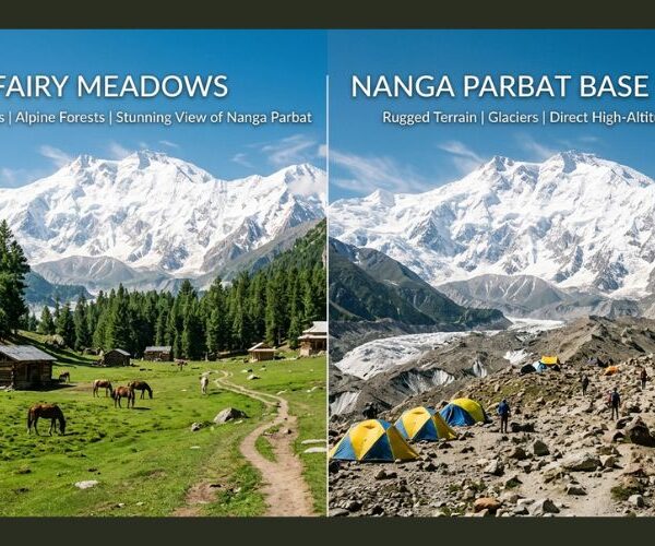 Fairy Meadows vs Nanga Parbat Base Camp